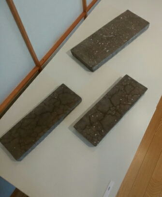 大森健司4